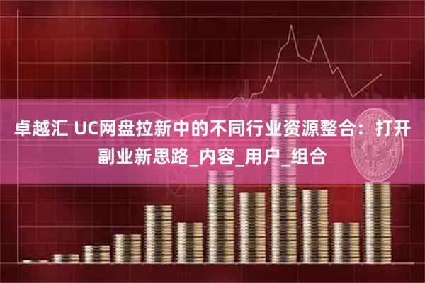 卓越汇 UC网盘拉新中的不同行业资源整合：打开副业新思路_内容_用户_组合